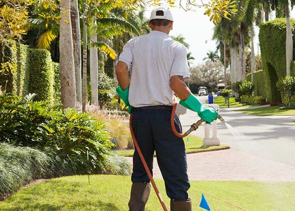 About Sharpsville PA Pest Control
